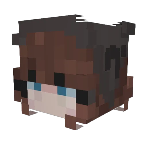 IamAMonkeyEateR Minecraft avatar head, 3D render