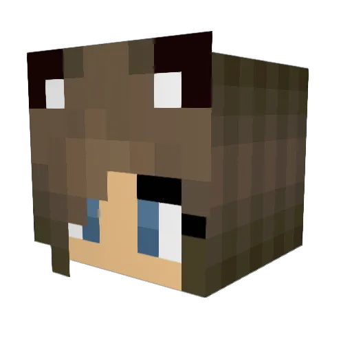 IamBzzzz Minecraft avatar head, 3D render