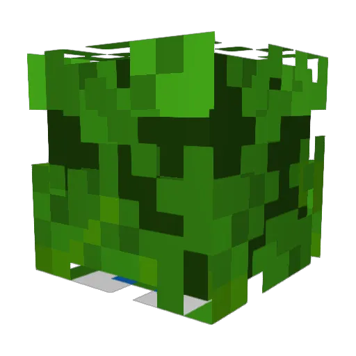 IamCactuzz34 Minecraft avatar head, 3D render