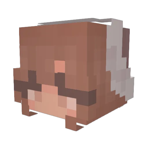 IamCombo Minecraft avatar head, 3D render
