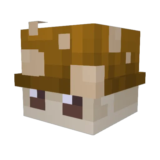 IamDefultBro Minecraft avatar head, 3D render