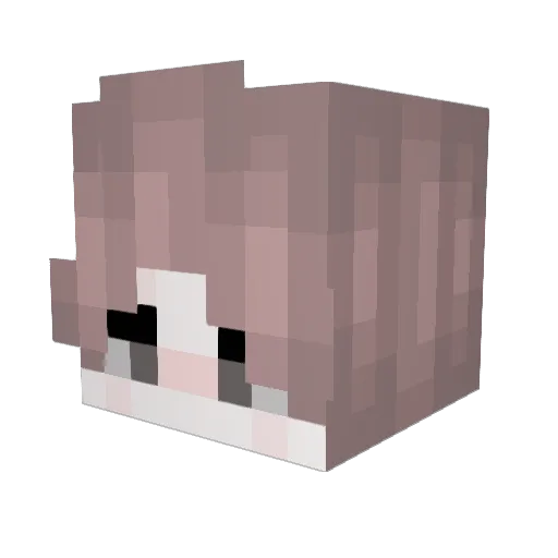 IamDikall Minecraft avatar head, 3D render