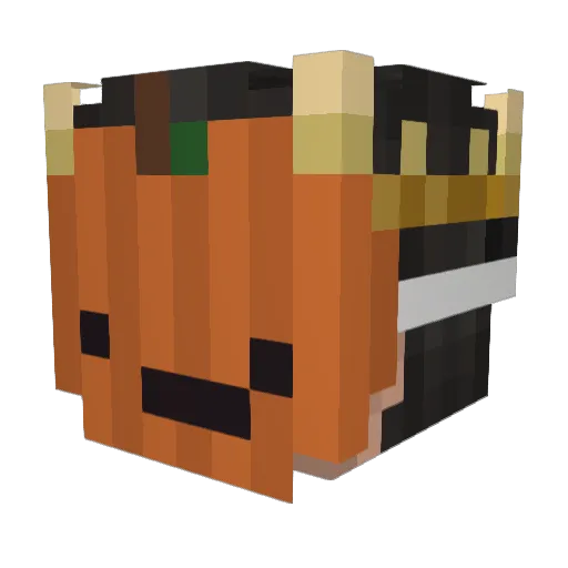 IamDumb__ Minecraft avatar head, 3D render