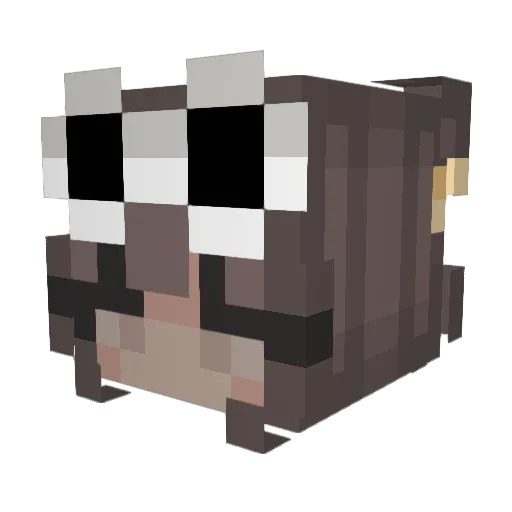 IamFelicia05 Minecraft avatar head, 3D render