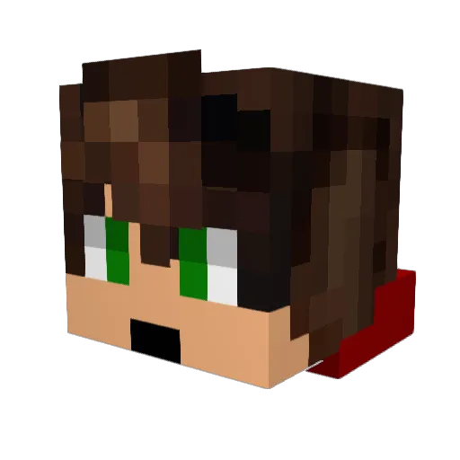 IamHero_ Minecraft avatar head, 3D render