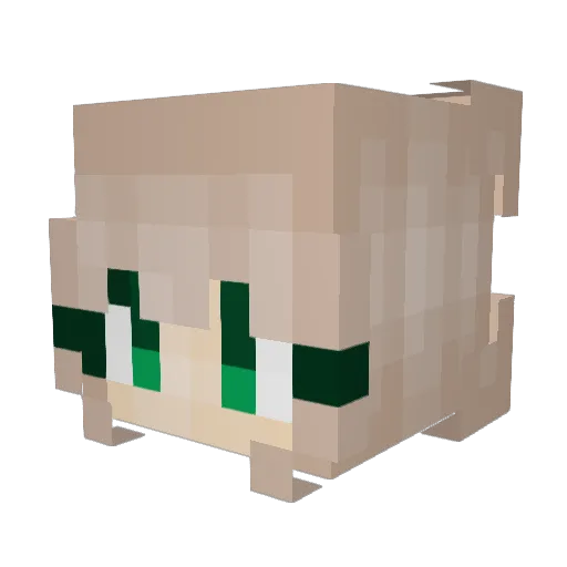 IamKAiZeY Minecraft avatar head, 3D render
