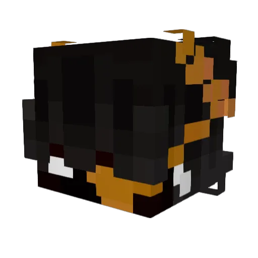 IamNoTriX Minecraft avatar head, 3D render