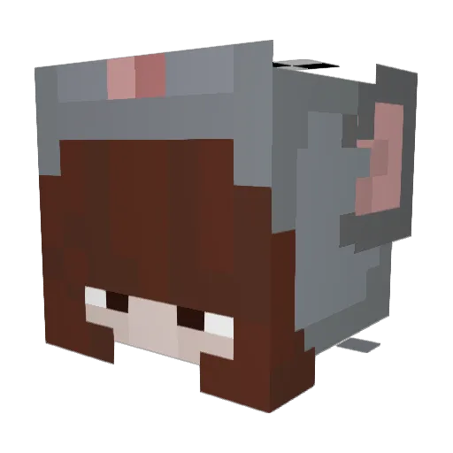 IamNothing666 Minecraft avatar head, 3D render