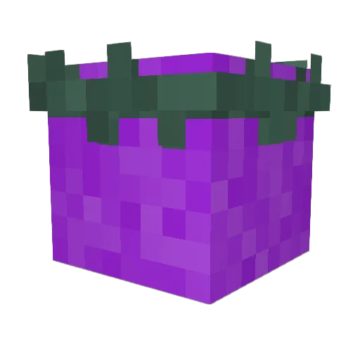 IamPourple Minecraft avatar head, 3D render