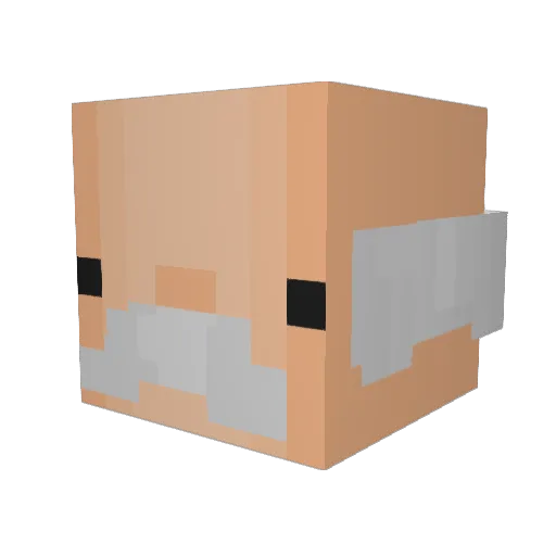 IamProze Minecraft avatar head, 3D render