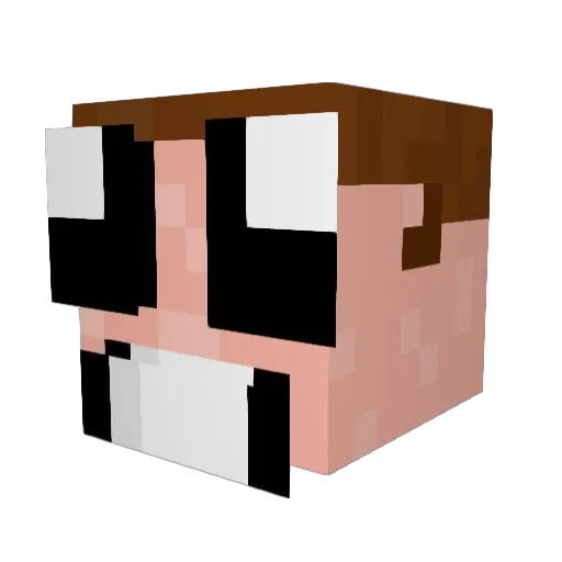 IamSanderson Minecraft avatar head, 3D render