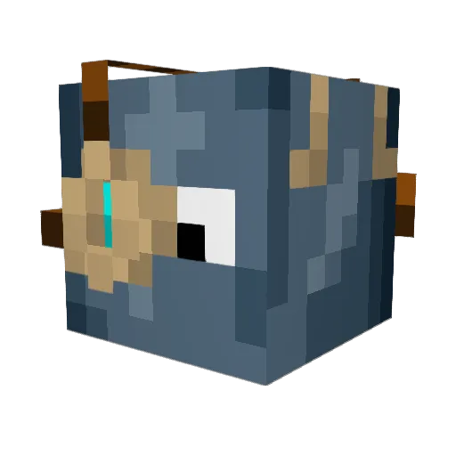 IamSpacecadet Minecraft avatar head, 3D render
