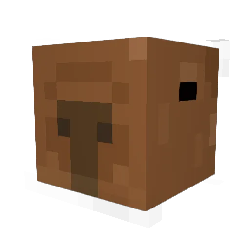 IamTheMelonMan Minecraft avatar head, 3D render