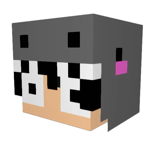 IamYourMonther Minecraft avatar head, 3D render