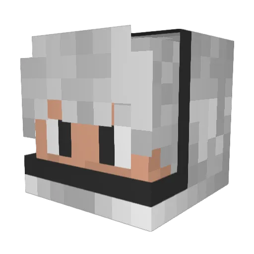 Iam_NoSLoww Minecraft avatar head, 3D render