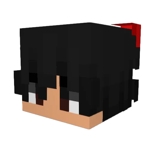 Iam_S0usax Minecraft avatar head, 3D render