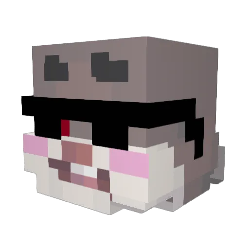 IamaDumbDumbs Minecraft avatar head, 3D render