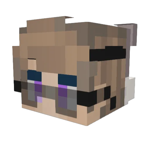 IamaVideoGamer Minecraft avatar head, 3D render