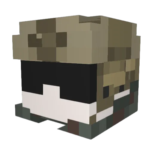 Iambabygroot99 Minecraft avatar head, 3D render
