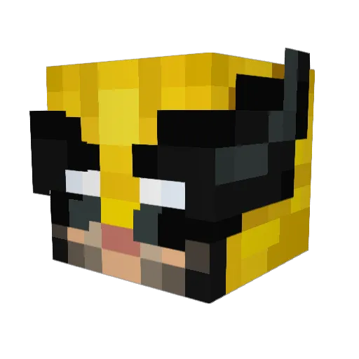 Iamjames2008 Minecraft avatar head, 3D render
