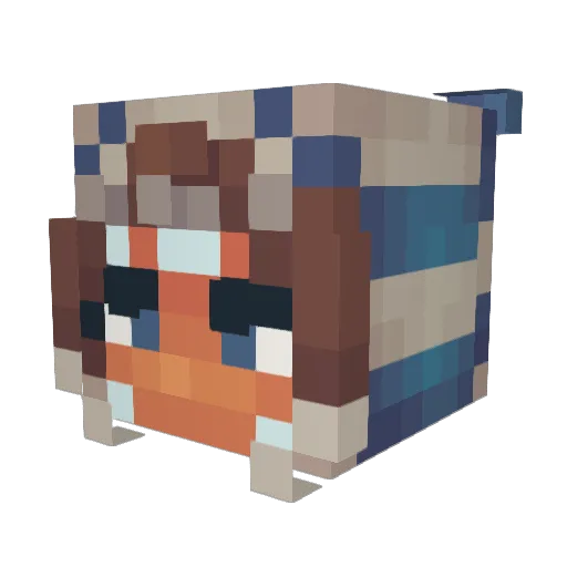 IamnoJedi26 Minecraft avatar head, 3D render