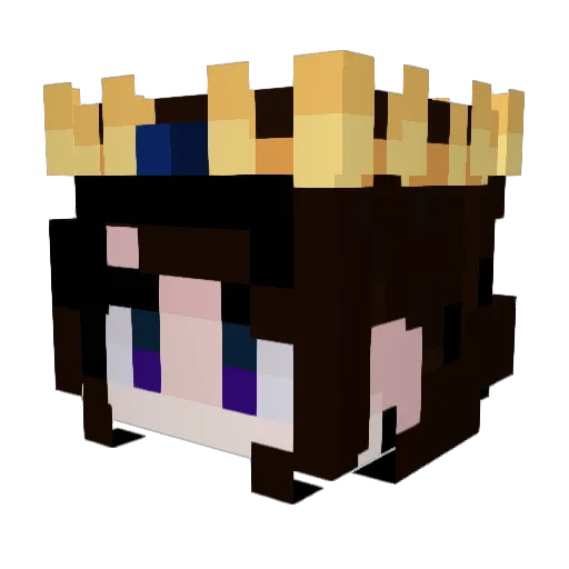 Iamnotatoaster Minecraft avatar head, 3D render