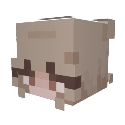 Iamthebeste Minecraft avatar head, 3D render