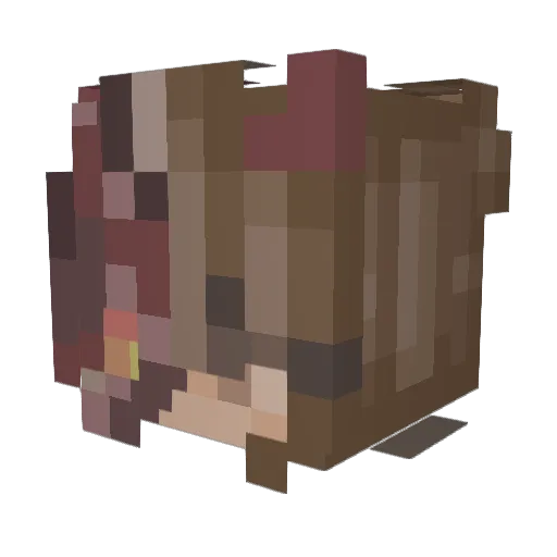 Iamthinking1234 Minecraft avatar head, 3D render