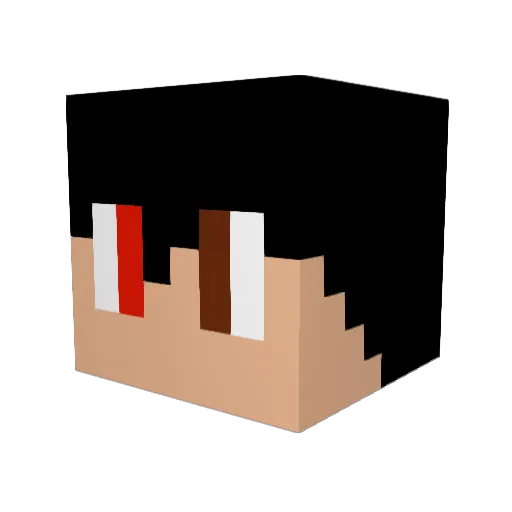 Ian9 Minecraft avatar head, 3D render