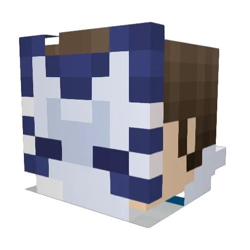 IanT8215 Minecraft avatar head, 3D render