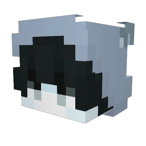 Ian_1415 Minecraft avatar head, 3D render