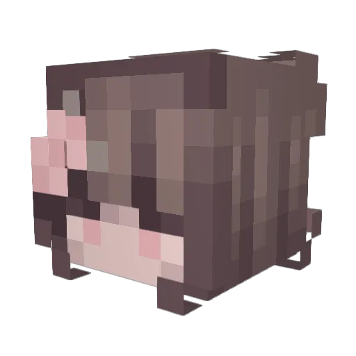 IanaRhoades Minecraft avatar head, 3D render