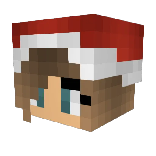 Ianadamson0115 Minecraft avatar head, 3D render