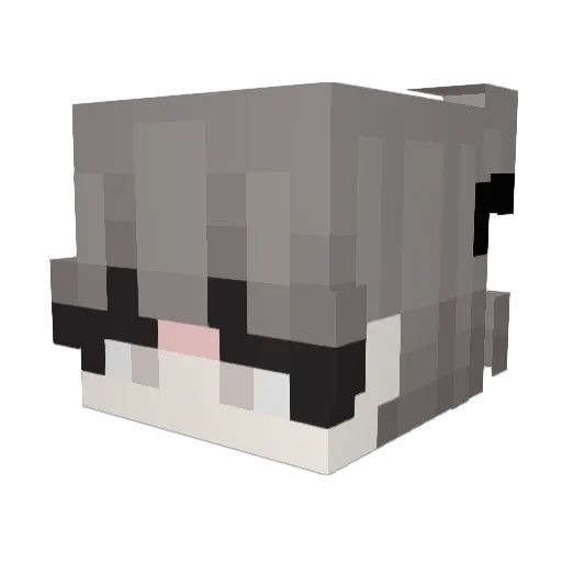 Ianadelrey Minecraft avatar head, 3D render