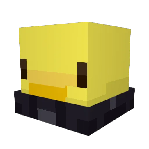 Ianet Minecraft avatar head, 3D render