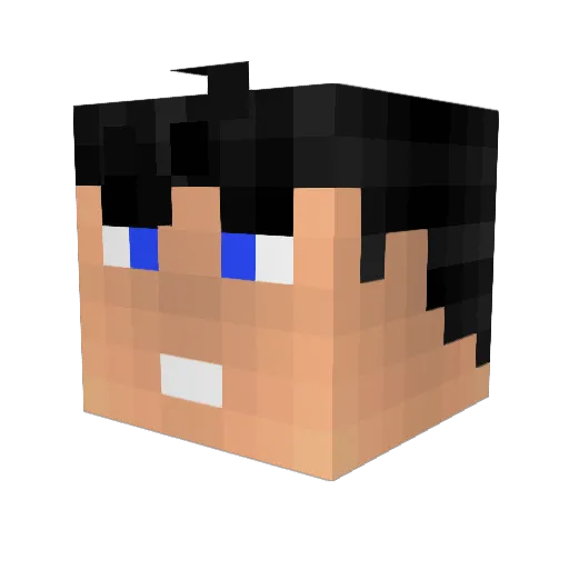 Iani_1872 Minecraft avatar head, 3D render