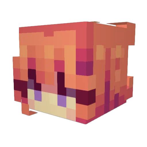 Iannn123456789 Minecraft avatar head, 3D render