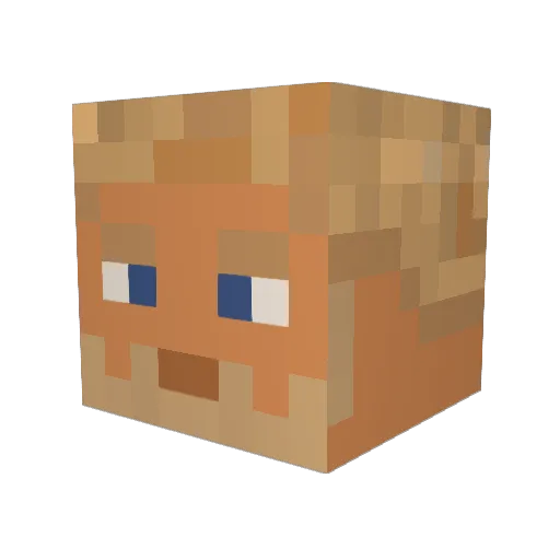 Ianus1 Minecraft avatar head, 3D render