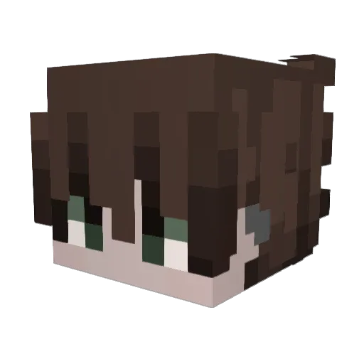 Iasj Minecraft avatar head, 3D render
