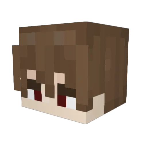 Ibadoji Minecraft avatar head, 3D render