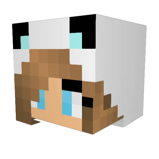 Ibbi154 Minecraft avatar head, 3D render