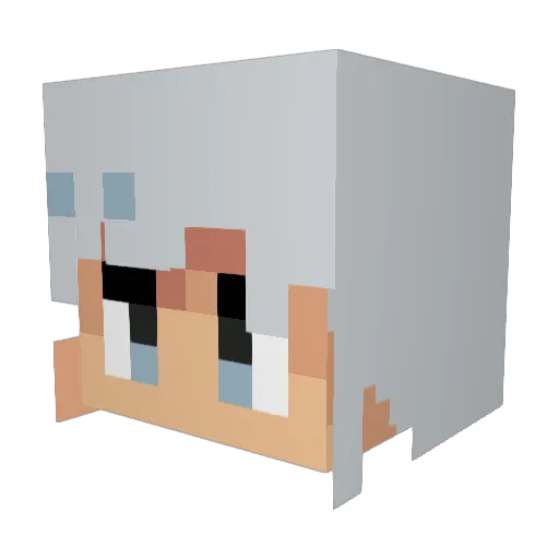 Ibbi333 Minecraft avatar head, 3D render