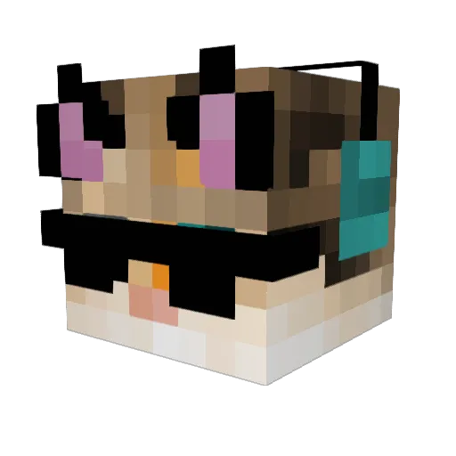 Ibims1Kaetzchen Minecraft avatar head, 3D render