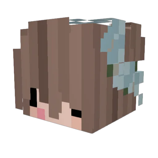 IbimsVerfressen Minecraft avatar head, 3D render
