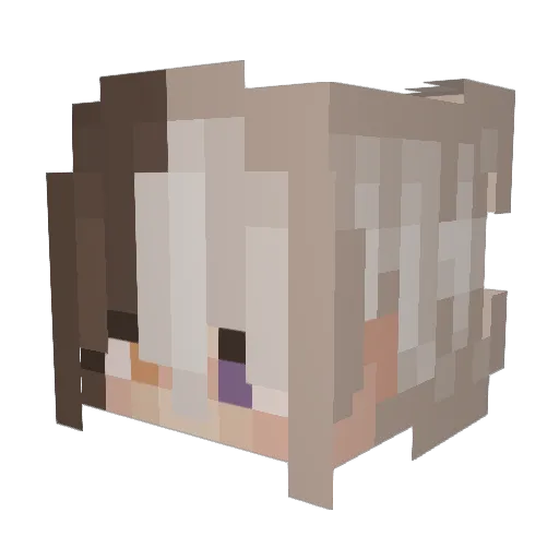 IbimsaHas Minecraft avatar head, 3D render