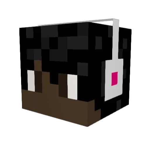 IbsPlayz Minecraft avatar head, 3D render