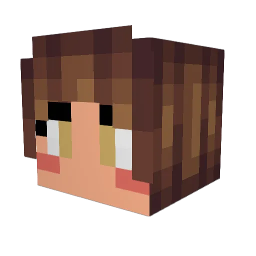 Ibuprophane Minecraft avatar head, 3D render