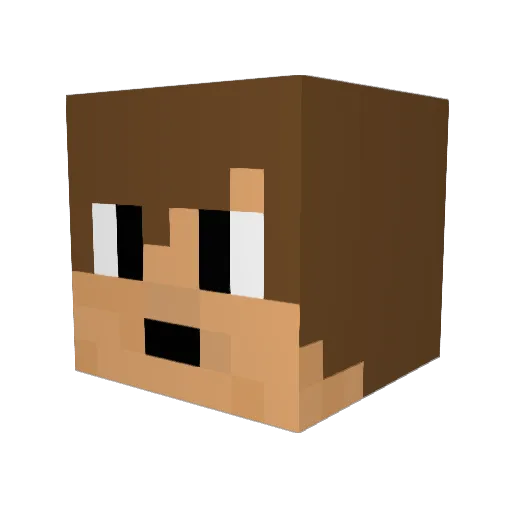 Icarus828 Minecraft avatar head, 3D render