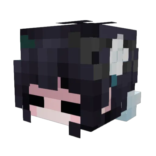 IcarusTails Minecraft avatar head, 3D render