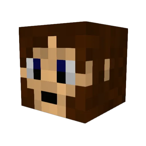 Icarus_20 Minecraft avatar head, 3D render